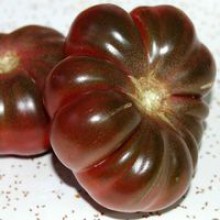 Редкие сорта томатов Фиолетовая Страсть